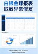 白银金蝶财务软件报表重