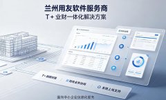 兰州用友 T + 软件服务商｜用友财务进销存实施、