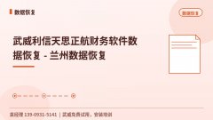 武威利信天思正航财务软件数据恢复