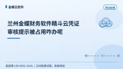 兰州金蝶财务软件精斗云凭证审核提示被占用咋